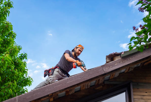 Best Roof Moss and Algae Removal  in Wernersville, PA